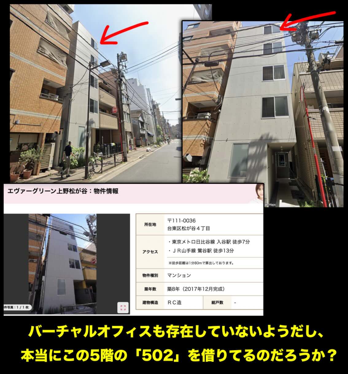 エヴァーグリーン